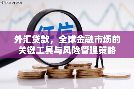 师宗外汇贷款，全球金融市场的关键工具与风险管理策略
