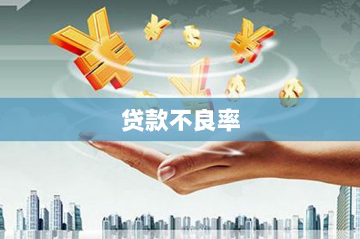 师宗贷款不良率