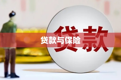 师宗贷款与保险
