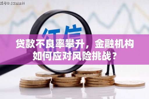 师宗贷款不良率攀升，金融机构如何应对风险挑战？