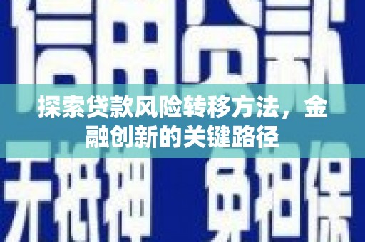 师宗探索贷款风险转移方法，金融创新的关键路径