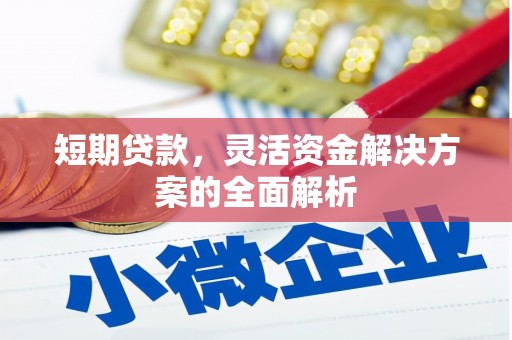师宗短期贷款，灵活资金解决方案的全面解析