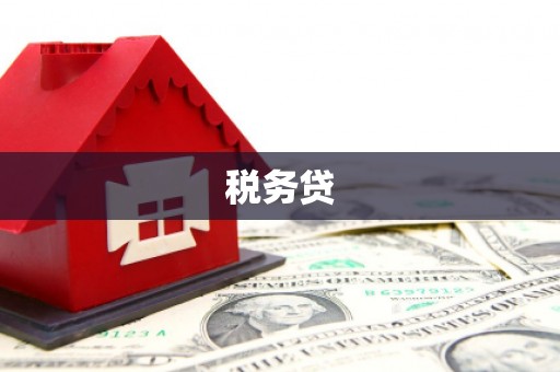 师宗税务贷