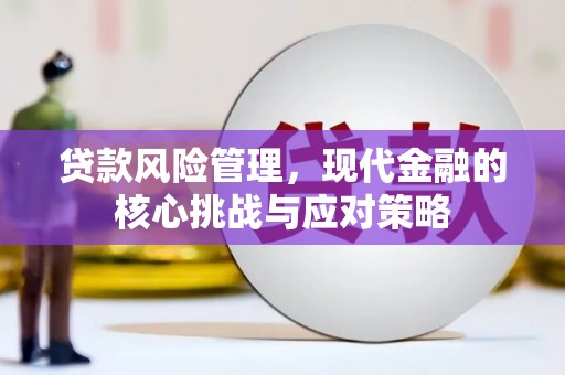 师宗贷款风险管理，现代金融的核心挑战与应对策略