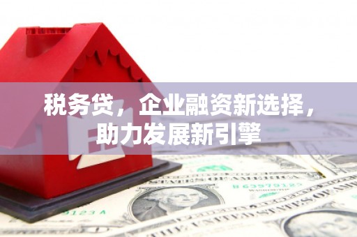 师宗税务贷，企业融资新选择，助力发展新引擎