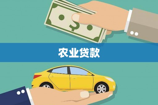 师宗农业贷款