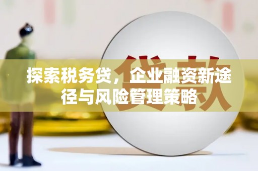 师宗探索税务贷，企业融资新途径与风险管理策略
