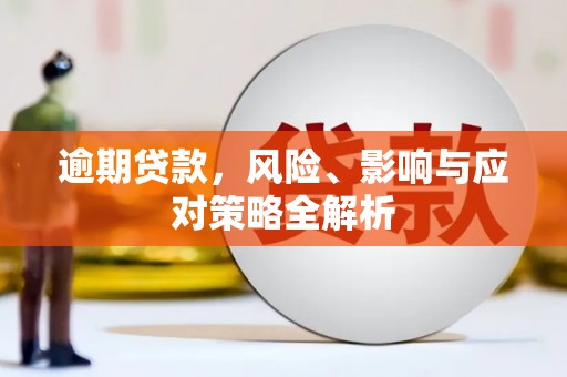 师宗逾期贷款，风险、影响与应对策略全解析