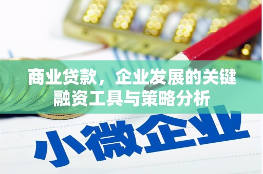 师宗商业贷款，企业发展的关键融资工具与策略分析