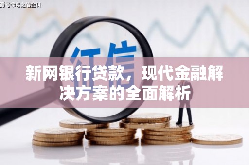 师宗新网银行贷款，现代金融解决方案的全面解析