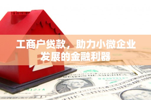 师宗工商户贷款，助力小微企业发展的金融利器