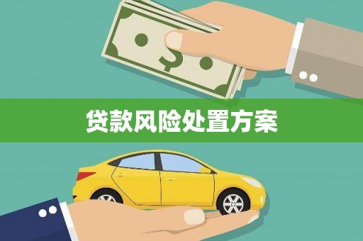 师宗贷款风险处置方案