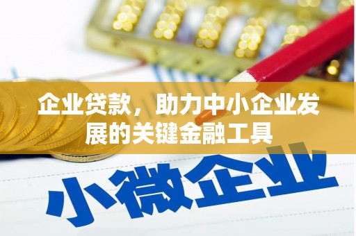 师宗企业贷款，助力中小企业发展的关键金融工具