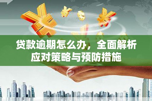 师宗贷款逾期怎么办，全面解析应对策略与预防措施