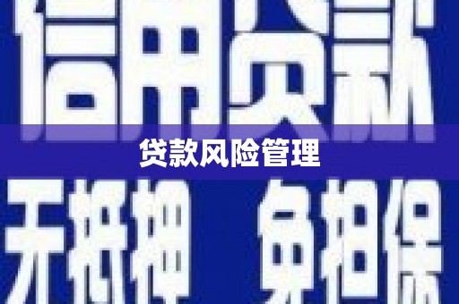 师宗贷款风险管理