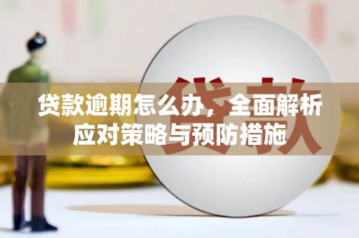 师宗贷款逾期怎么办，全面解析应对策略与预防措施
