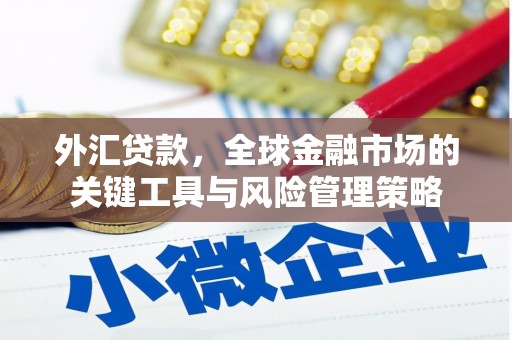 师宗外汇贷款，全球金融市场的关键工具与风险管理策略