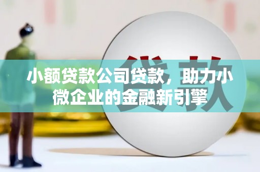 师宗小额贷款公司贷款，助力小微企业的金融新引擎