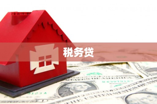 师宗税务贷