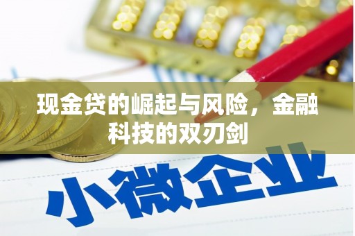 师宗现金贷的崛起与风险，金融科技的双刃剑