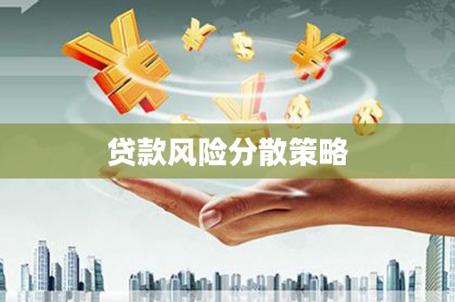师宗贷款风险分散策略