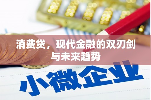师宗消费贷，现代金融的双刃剑与未来趋势