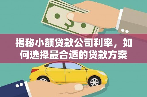 师宗揭秘小额贷款公司利率，如何选择最合适的贷款方案