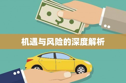 师宗机遇与风险的深度解析