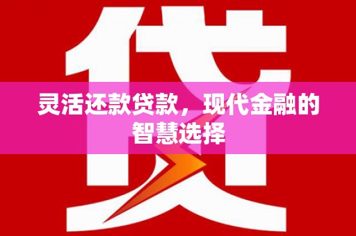师宗灵活还款贷款，现代金融的智慧选择