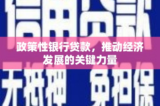 师宗政策性银行贷款，推动经济发展的关键力量
