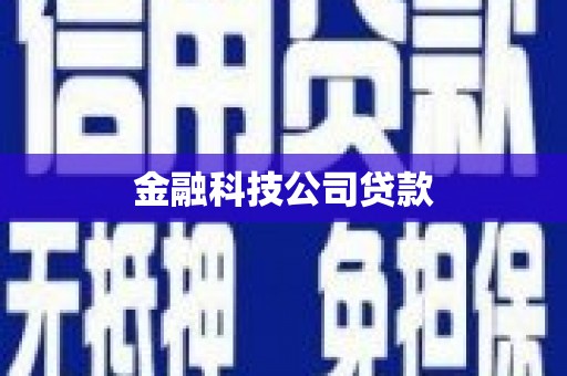 师宗金融科技公司贷款