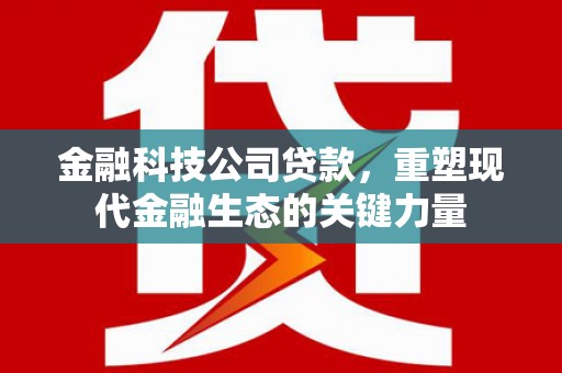 师宗金融科技公司贷款，重塑现代金融生态的关键力量