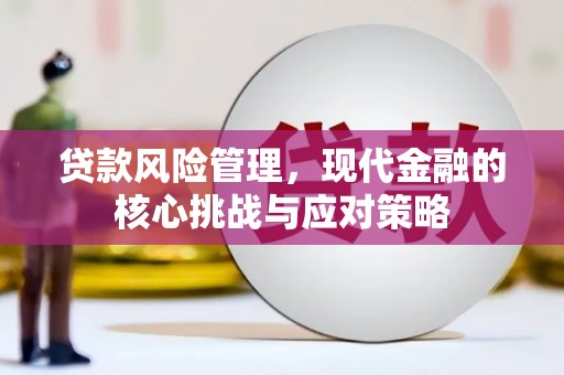 师宗贷款风险管理，现代金融的核心挑战与应对策略