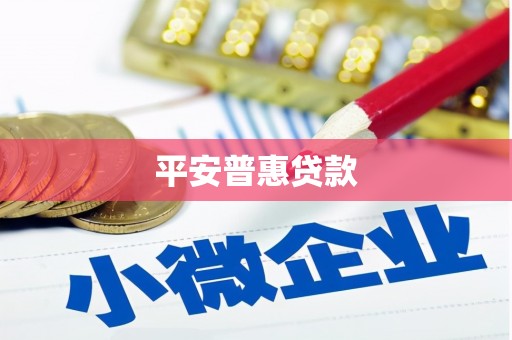 师宗平安普惠贷款