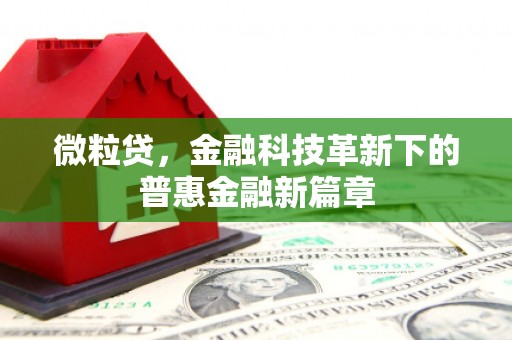 师宗微粒贷，金融科技革新下的普惠金融新篇章