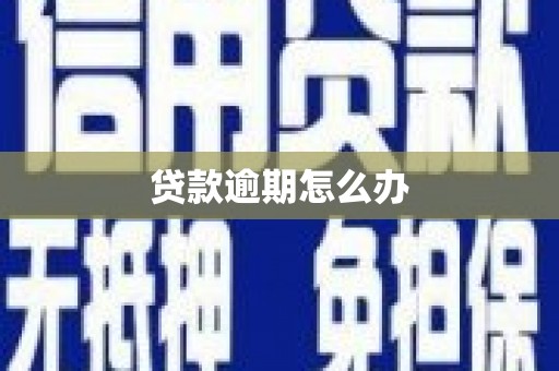 师宗贷款逾期怎么办