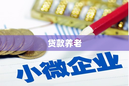 师宗贷款养老