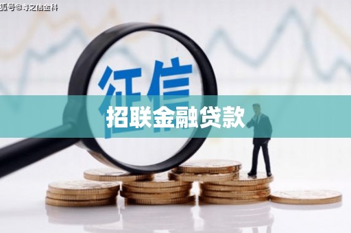 师宗招联金融贷款