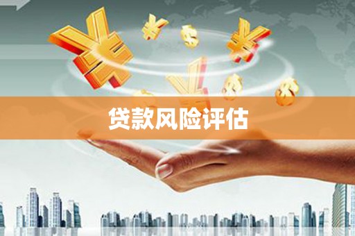 师宗贷款风险评估