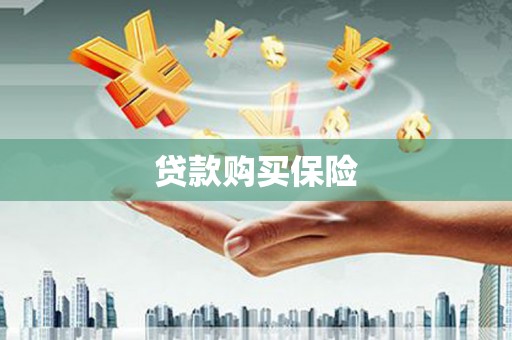 师宗贷款购买保险
