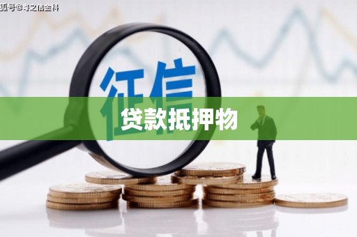 师宗贷款抵押物