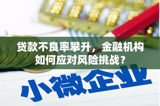师宗贷款不良率攀升，金融机构如何应对风险挑战？