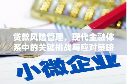 师宗贷款风险管理，现代金融体系中的关键挑战与应对策略
