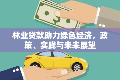 师宗林业贷款助力绿色经济，政策、实践与未来展望