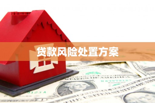 师宗贷款风险处置方案