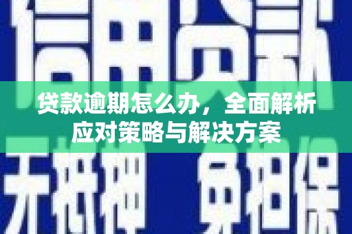 师宗贷款逾期怎么办，全面解析应对策略与解决方案