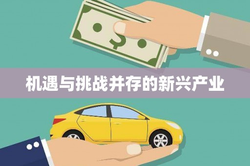师宗机遇与挑战并存的新兴产业