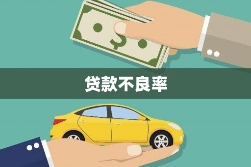 师宗贷款不良率