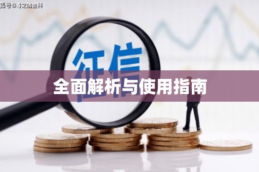 师宗全面解析与使用指南