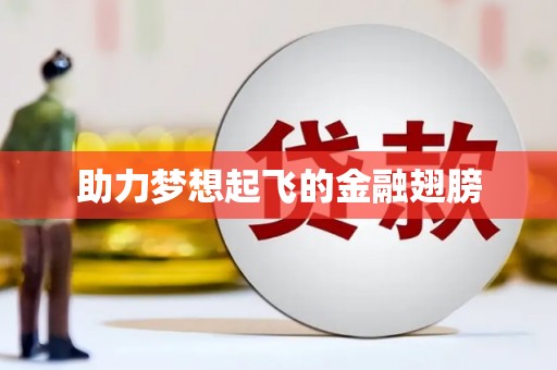 师宗助力梦想起飞的金融翅膀